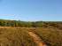 Fazenda em sao goncalo do abeté - minas gerais